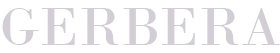 gerbera