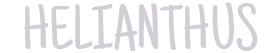 helianthus