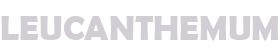 leucanthemum
