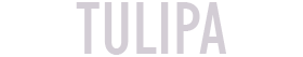 tulipa